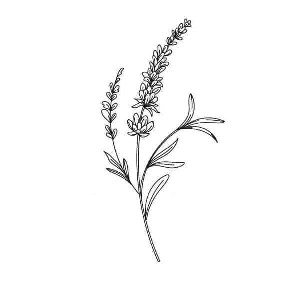 Tatouage éphémère brin de lavande