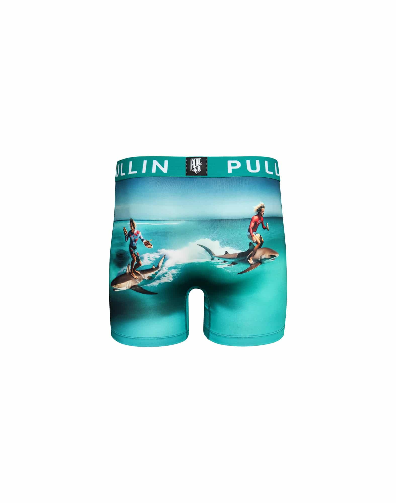Boxer PULLIN surfer